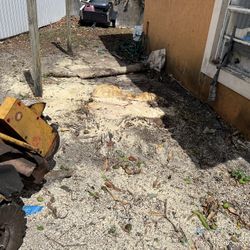 Stump Grind 