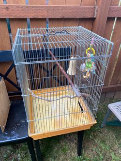 Used Bird Cage