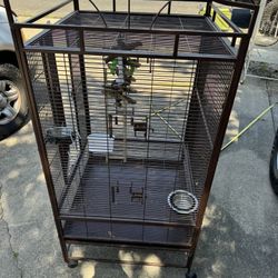 Parrot/Bird cage 