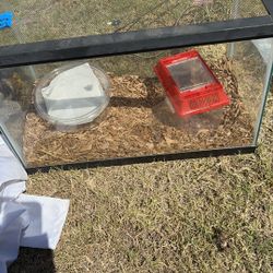 Fish Tank/ Pecera 
