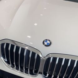 BMW X5 Grill