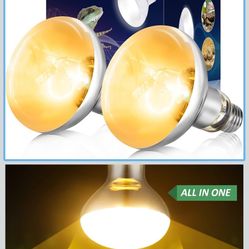 UVB light and heat bulb