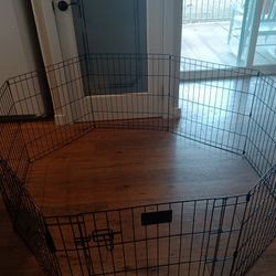 Pet,Pets, Dog,Dogs,Animal,Animals,Cage,Cages