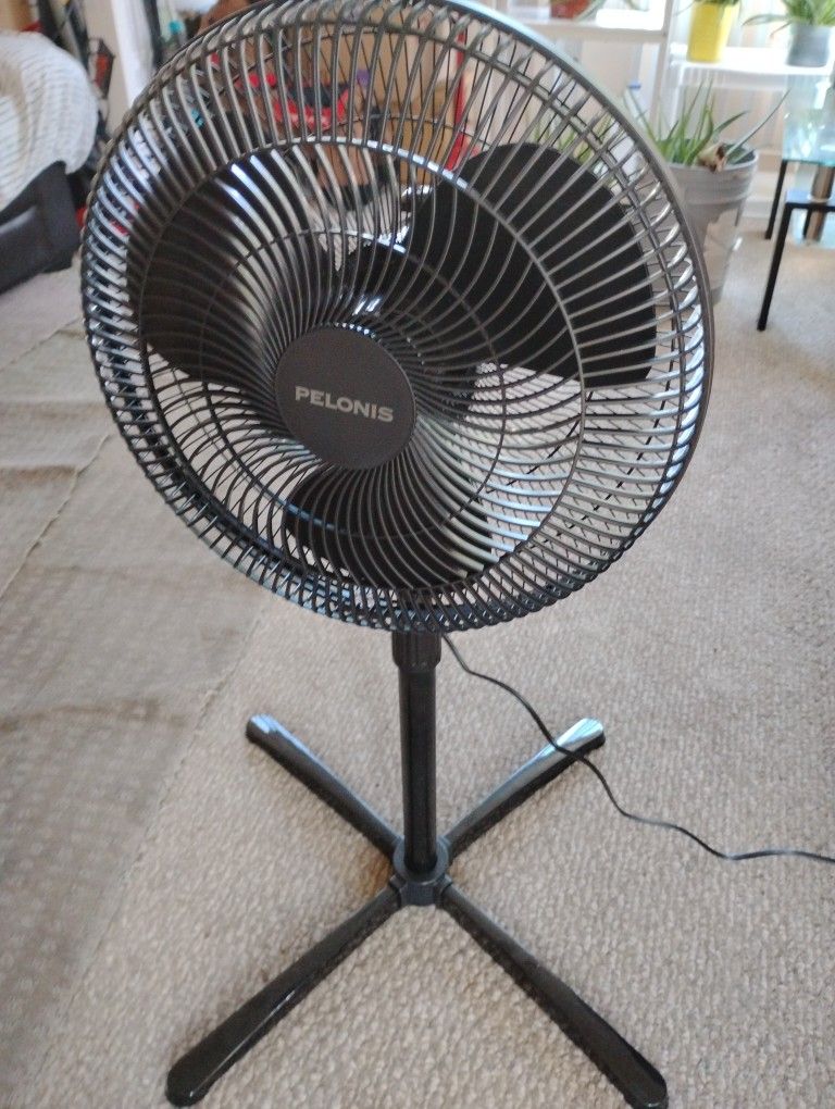 Standing Fan