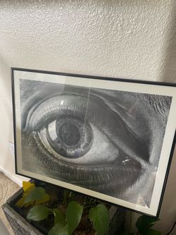 Eye with skull reflection print in frame