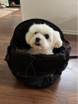 Pet Backpack from Oskar&Friends