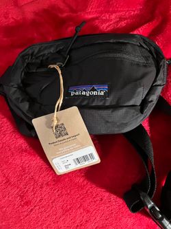 PATAGONIA FANNY PACK NEW