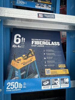 Brand New 6ft Latter