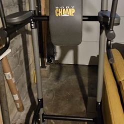 Pull Up Dip Station 