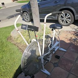 Schwinn Airdyne Bike