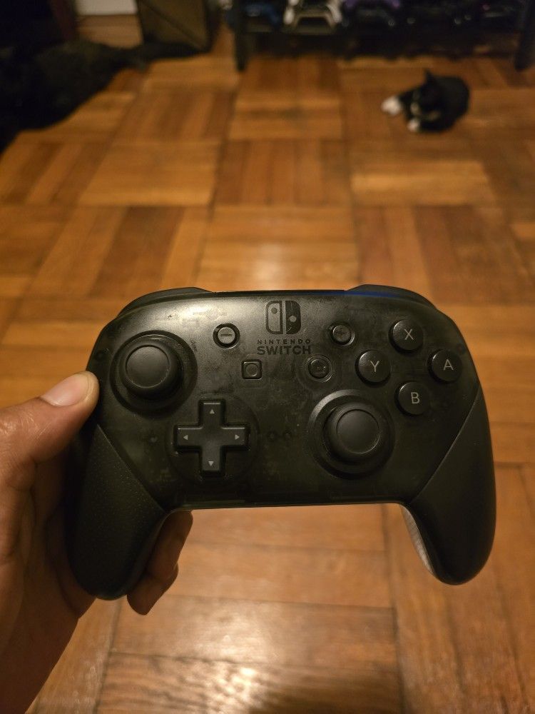Nintendo Switch Pro Controller