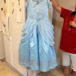 Cinderella Dress