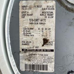 Exterior Loxon Paint