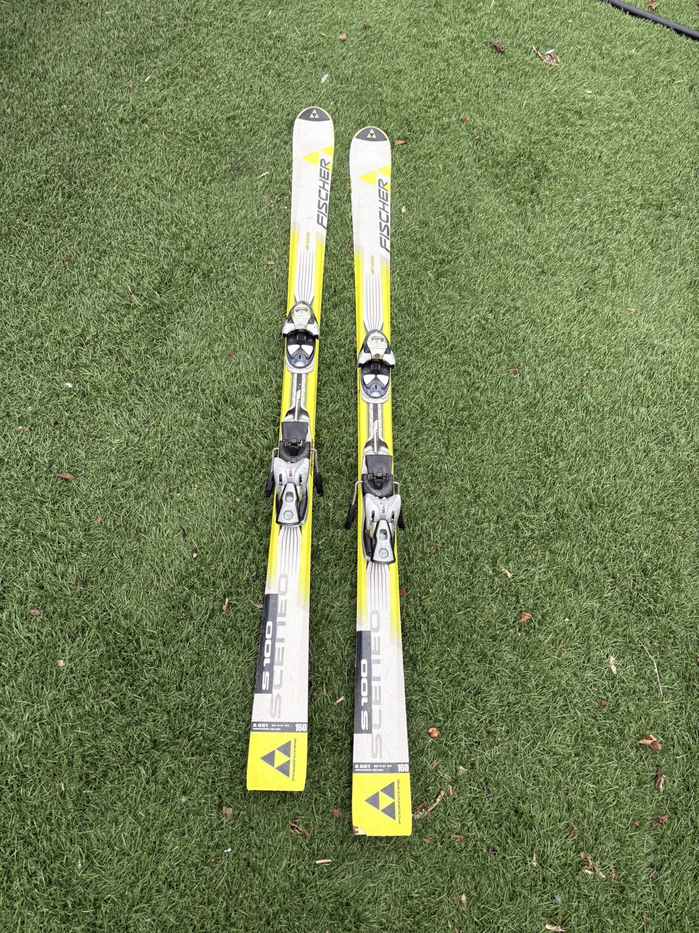 Fischer Sceneo S100 Skis