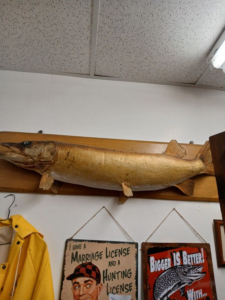 Fishing Items,antiques, Glassware, Furniture, Jewelry, Candles