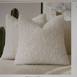 2 BRAND NEW UNOPENED Pillow Covers