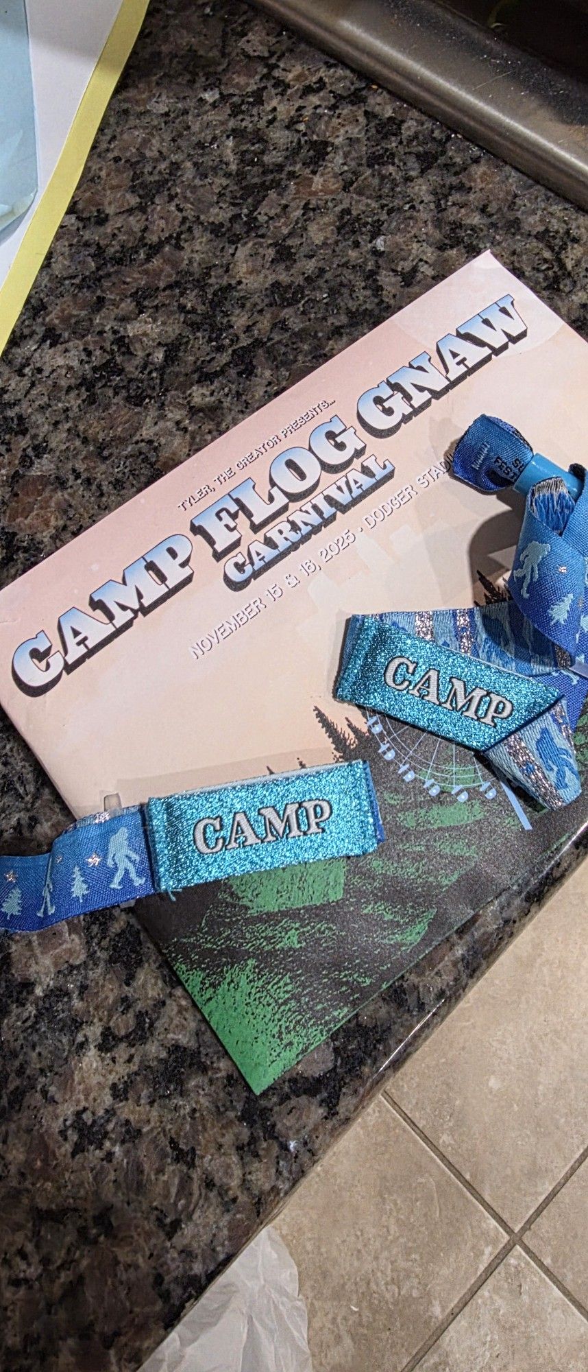 Camp Flog Gnaw GA