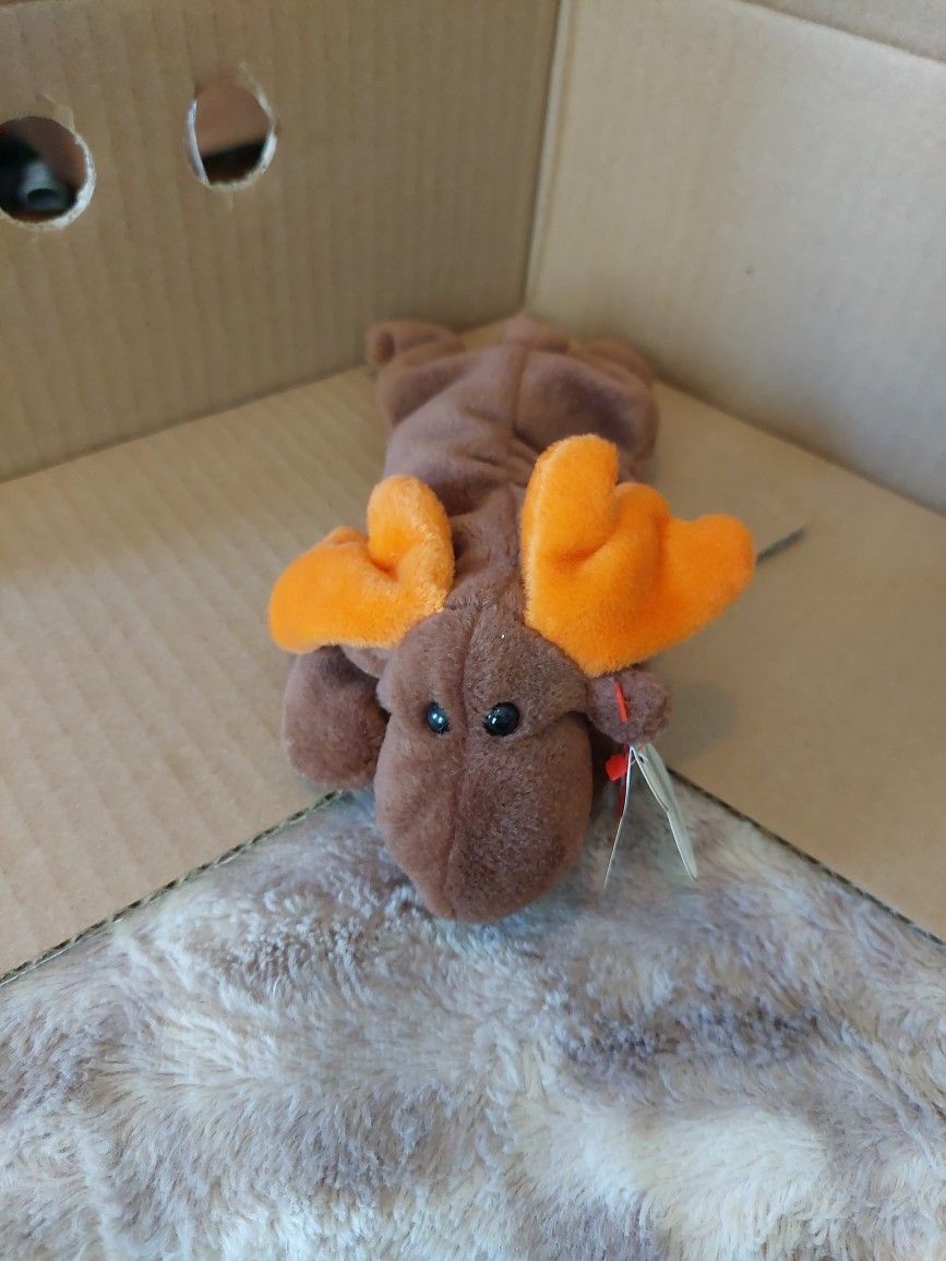 Chocolate The Beanie Baby