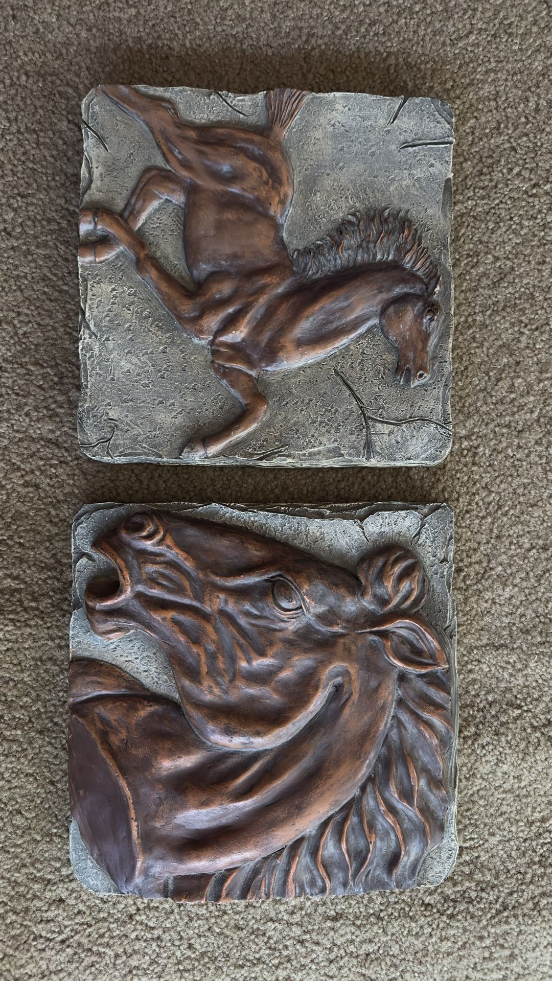 Decrotive Horse Portraits