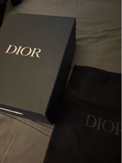 Dior b 22 brown and white
