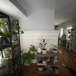 Pottery Barn headboard Queen 