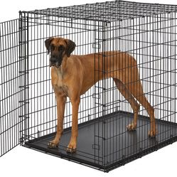 Dog Cage XXL  MidWest Solution Series XX-Large Heavy Duty Single Door Wire Dog Crate, 54-in L x 37-in W x 45-in H