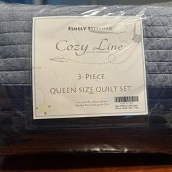 3 Piece Queen Size Quilt Set