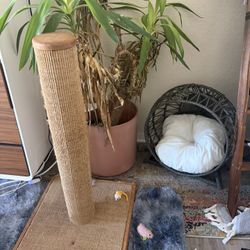 Cat scratcher and Adorable Kitty Daybed Sold Separately Or Together 