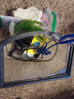 Small 2 gallon fish tank