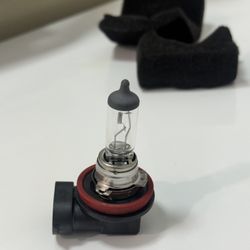 Halogen Headlight Bulb