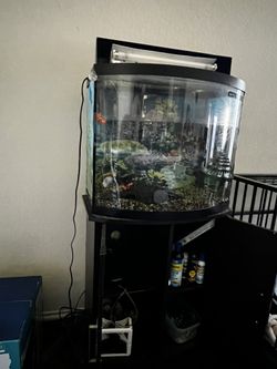 Pescera 20 Galon/. 20-gallon fish tank..