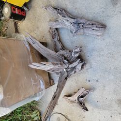 Aquarium Driftwood