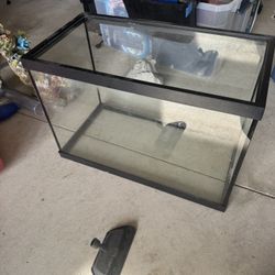 Fish Tank 