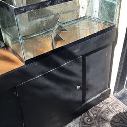 20 Gallon Long Tank
