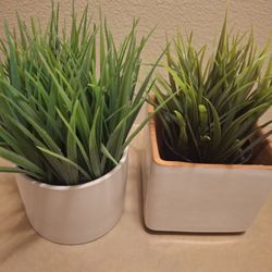 2 Cute Fake Plants