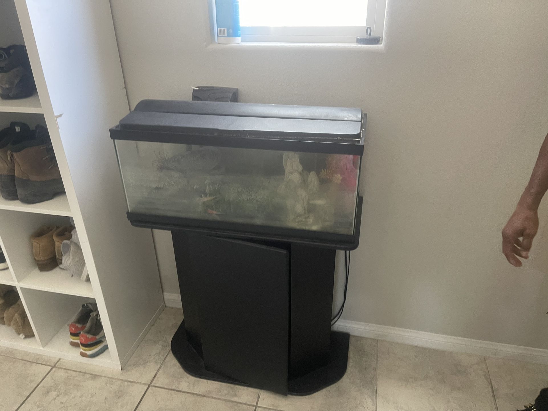 Fish Tank
