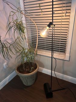 Floor Lamp