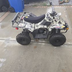 110cc Mini Quad