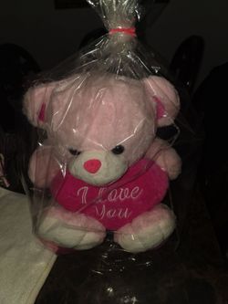 PINK BEAR 🐻‍❄ 💗
