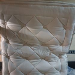 Two And A Half Weeks Old