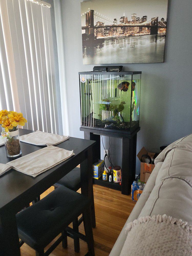 40 Gallon Fish Tank With Stand 