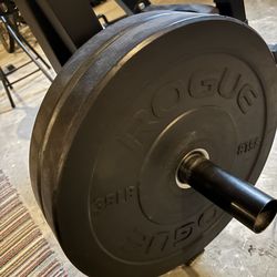 35 lb Bumper Plates Pair
