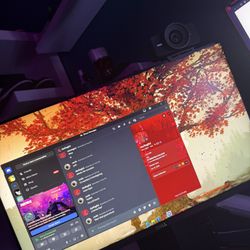 24 Inch Dell Monitor  