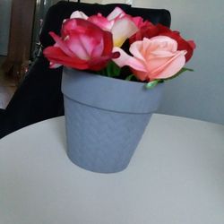 Flowers In Clay Pot 