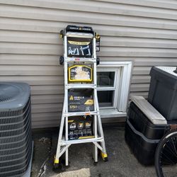 gorilla ladder