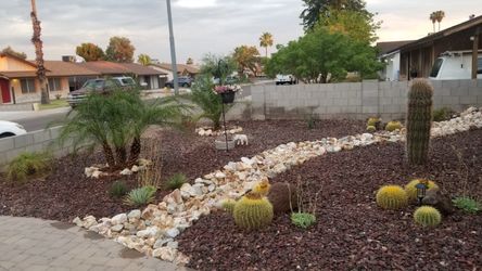 Free River Rock