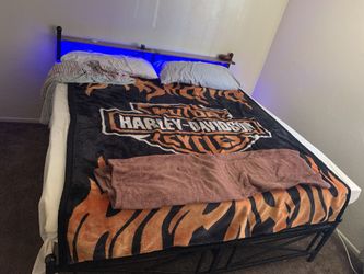 Stearns & Fosters Split King