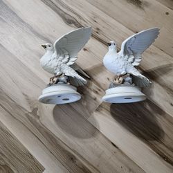 2 Doves