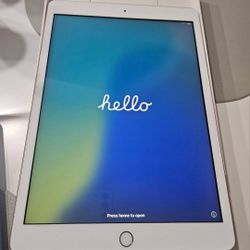 iPad 7th Generation.  cellular and Wi-Fi Internet access.  Excellent Condition 