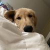 Macy